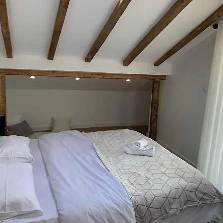 Noah's Attic - In *