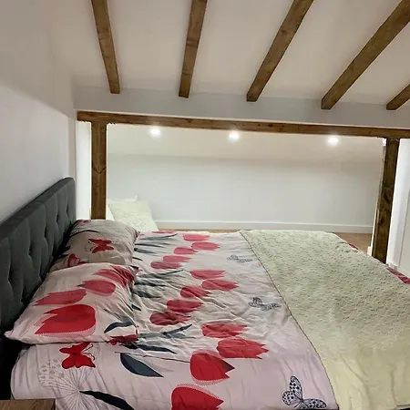 Noah's Attic - In Appartamento Korce